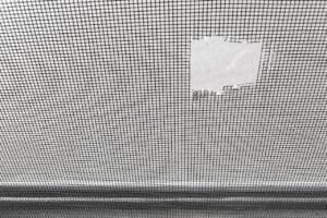 damaged mosquito screen