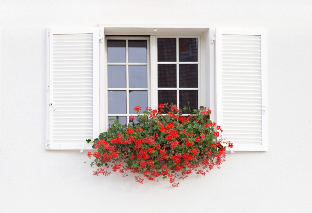 Window